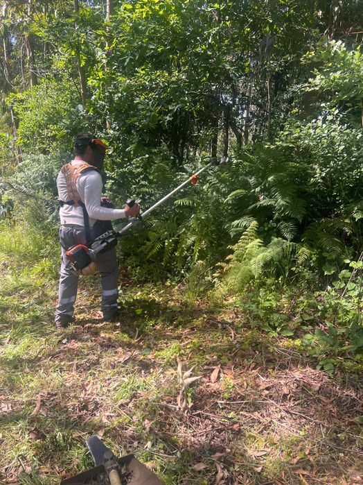 Faço limpezas de terrenos quintais