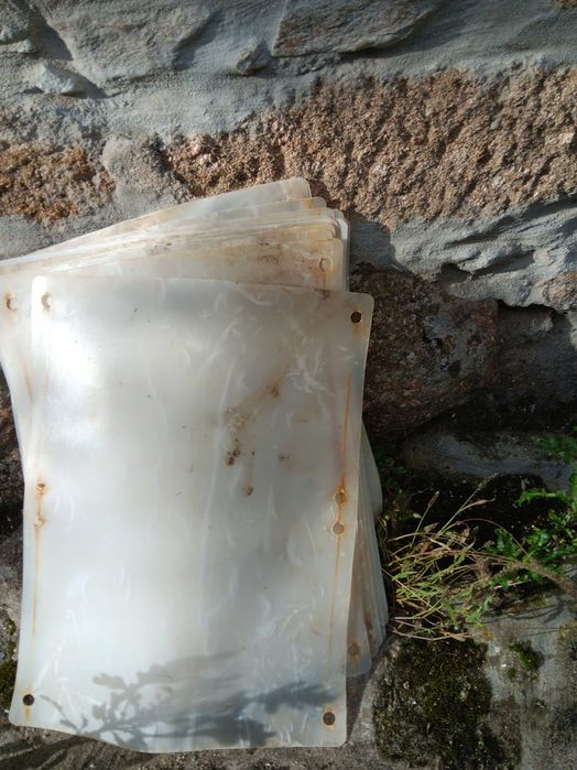 Proteção para vinhas novas