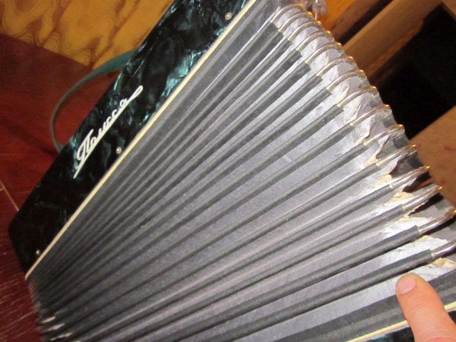 Баян Полісся