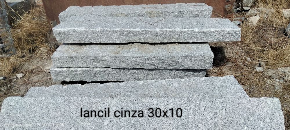 Granitos silva ( Castro Daire)