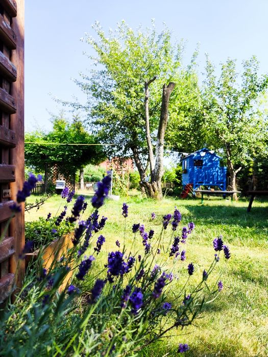 Działka ROD Pogodny w Kaliszu — 500 m², idealna dla rodziny z dziećmi - Widok 4