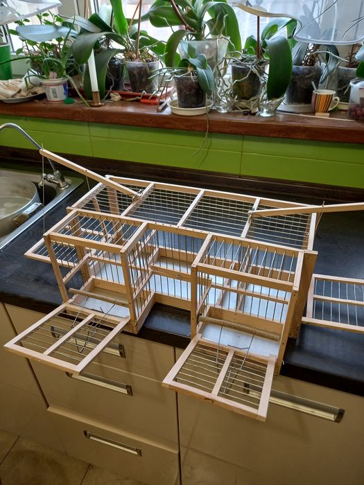 Клетки и западки, ловушки, хлопунчики из натурального дерева