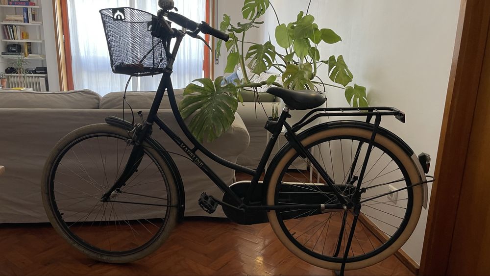 Bicicleta holandesa
