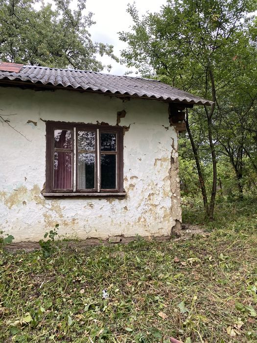 продам дачу з великою кількістю землі.