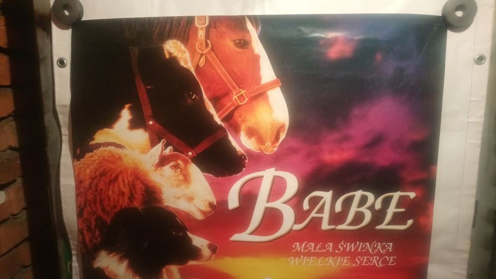 Plakat filmowy orginalny kinowy( BABE )
