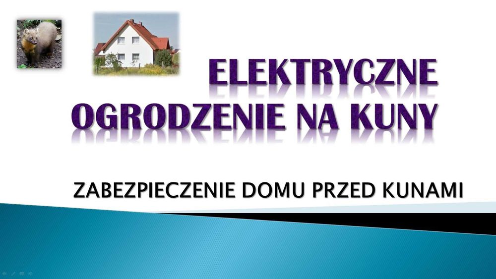 Ochrona domu, przed kuną, elektryczny, pastuch na kuny, kuna, montaż