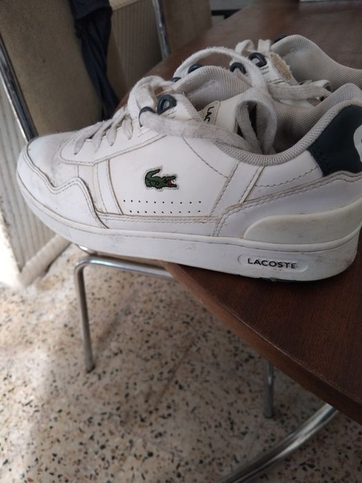 Vender sapata lacoste