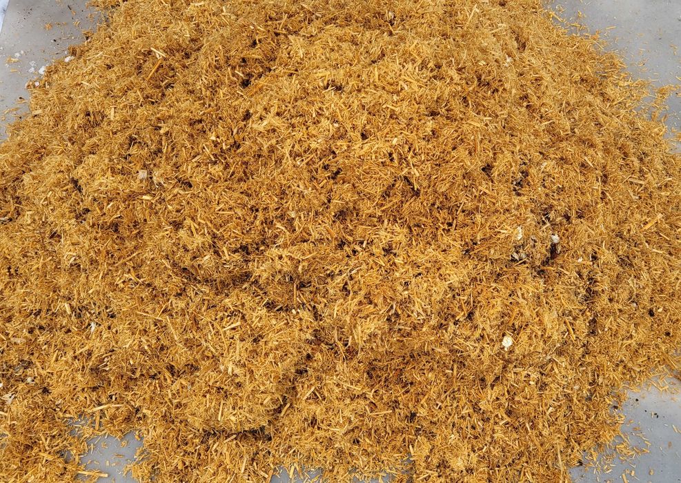 Biomasa roślinna po uprawie Boczniaków Ściółka Sieczka Słoma Lepiszcze