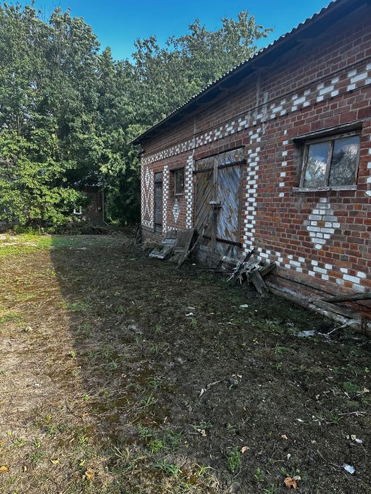 Siedlisko w zakrzówku