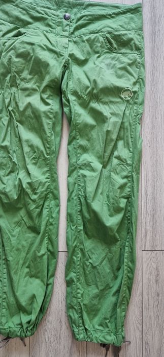 Mammut L.        .