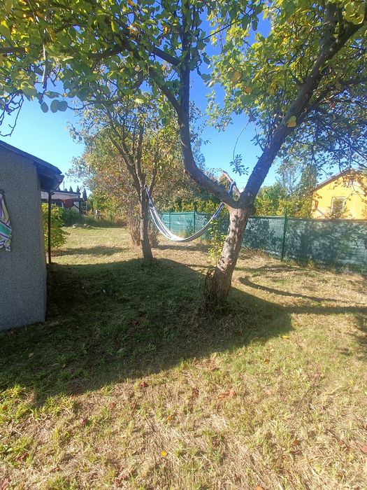 Działka ROD Górnik - Widok 5