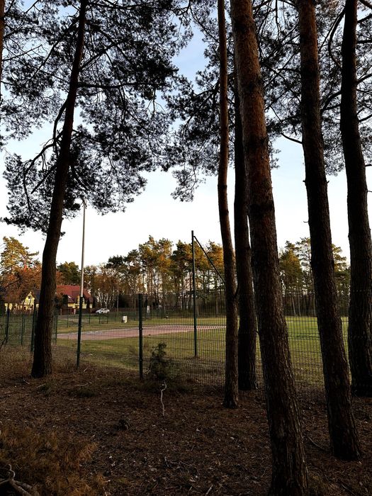 Działka w otoczeniu lasu 20 minut do Torunia