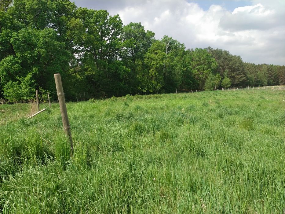 Przemocze | Działka z WZ na dom | Prąd i gaz
Dz