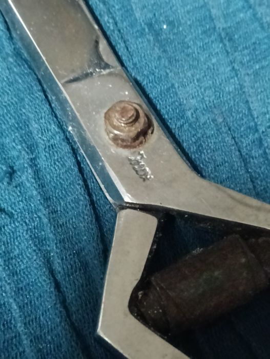 Tesoura de trinchar vintage