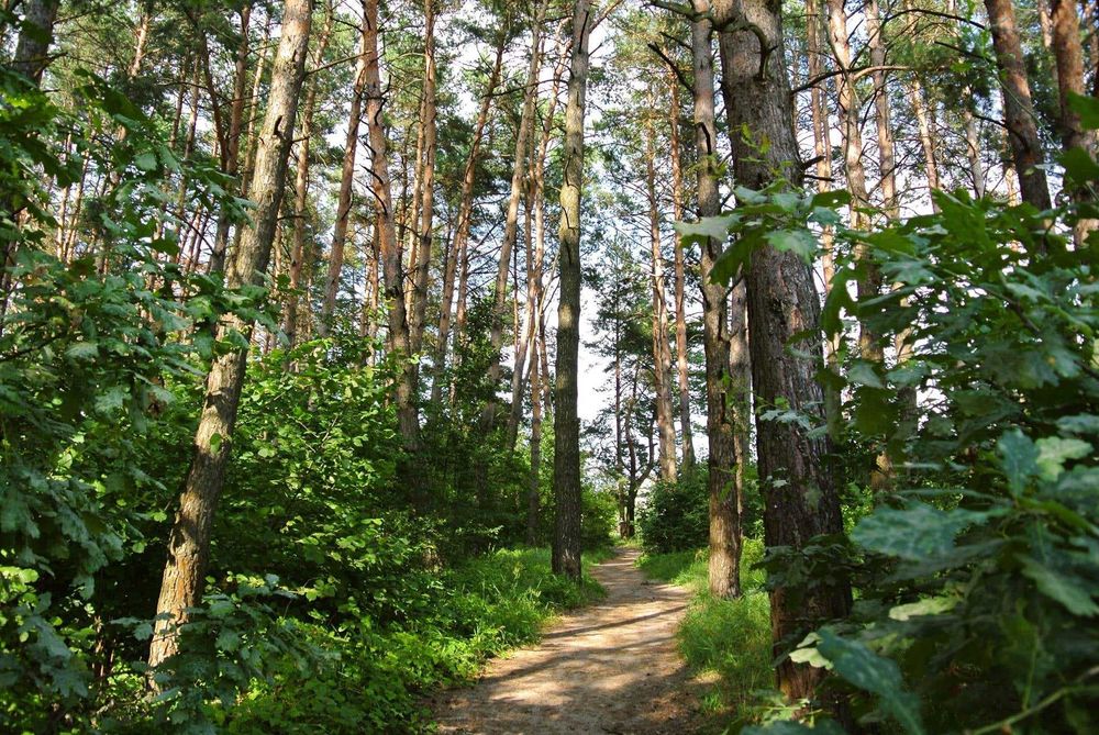 Будиночок для сімейного відпочинку на природі . Для двох.