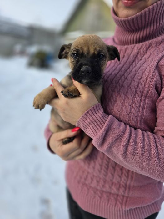 Хлопчики в добрі ручки!