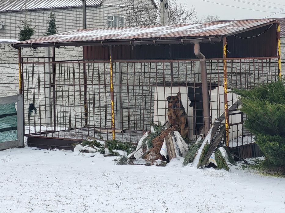 Здається в довгострокову оренду 2х поверховий дім в с. Обухівка