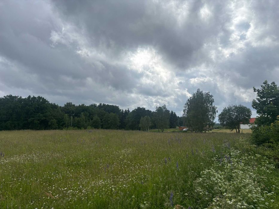 Działka pod dom lub rekreację - rolna z warunkami zabudowy – 6578 m² – Zerbuń, gm. Jeziorany (okolica Olsztyna i Biskupca) - Widok 3