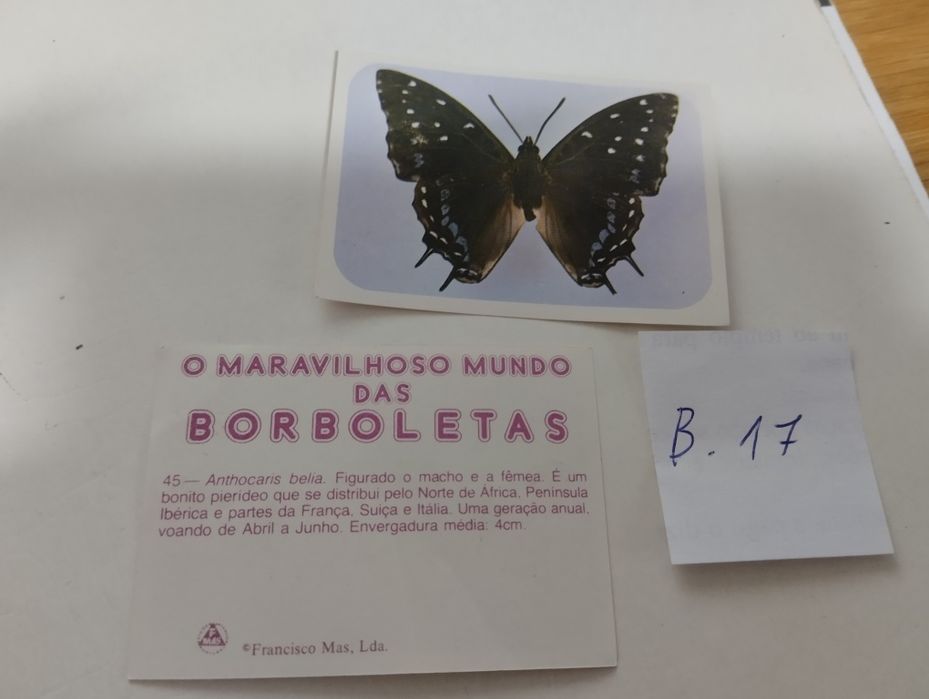 (B3) cromos de 8 coleções