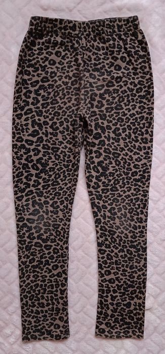 Bawełniana spodnie legginsy panterka 122/128