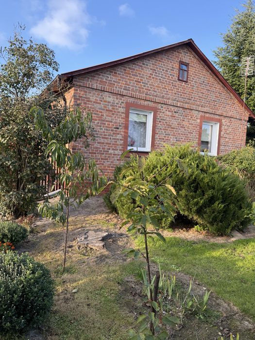 Dom  -siedlisko z bud gospodarczymi w miejscowości Żabno gmina Turobin