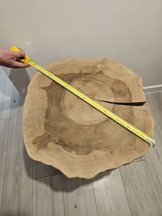 Plaster orzecha włoskiego