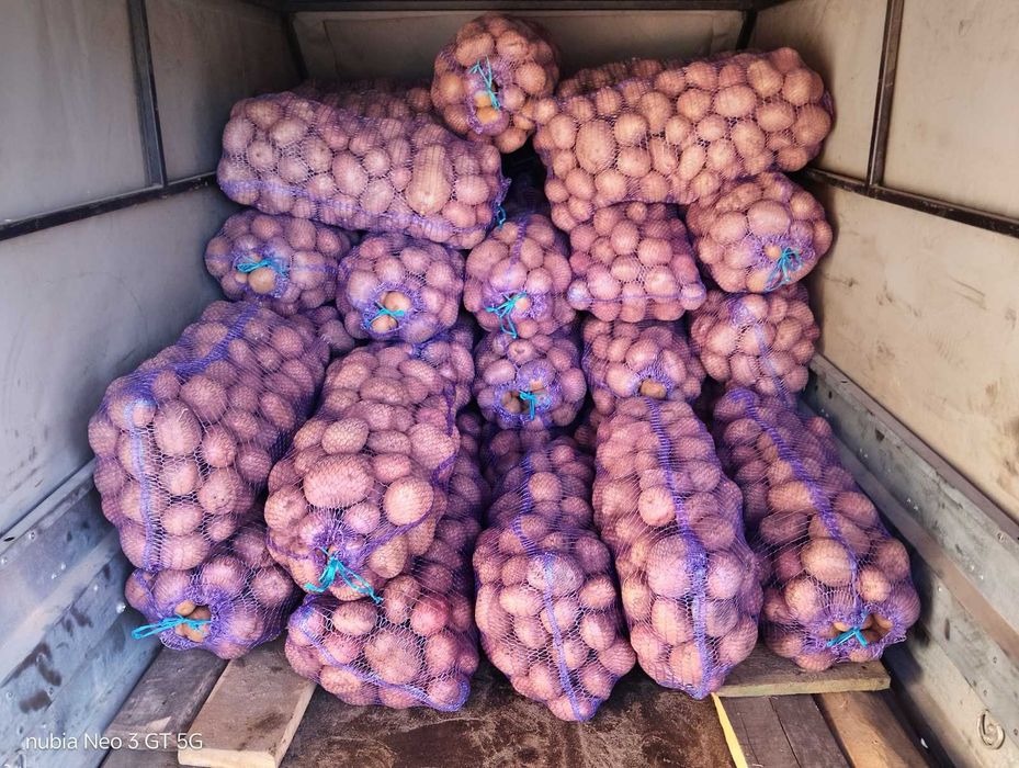 Продам картоплю, ціна 16грн з доставкою