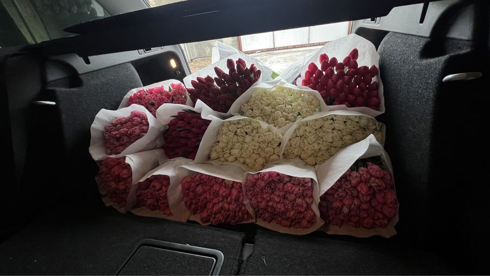 101 тюльпан =3800грн( власне виробництво)