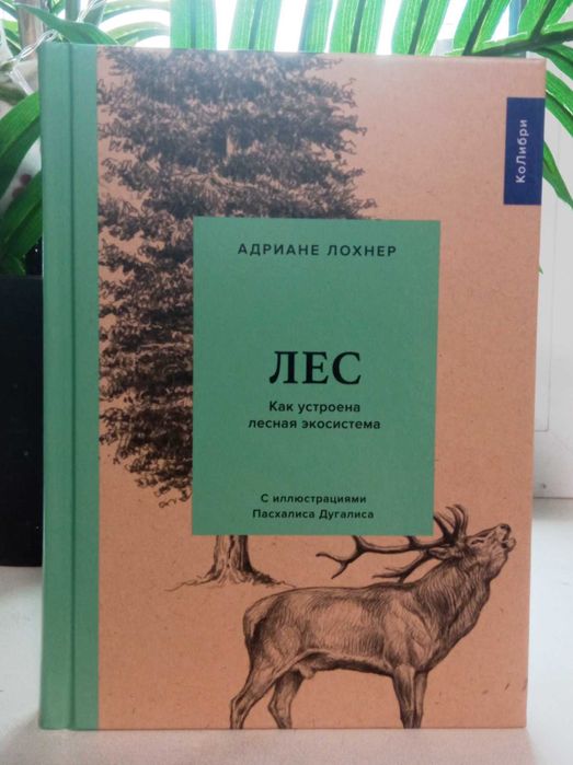 Лес. Как устроена лесная экосистема. А.Лохнер
