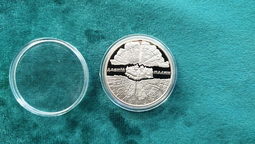 Монета Давній Малин 2016