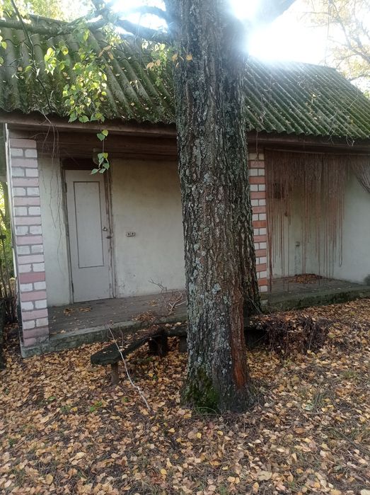 Газифікований будинок в селі Олишівка. Вода в будинку. БАНЯ.