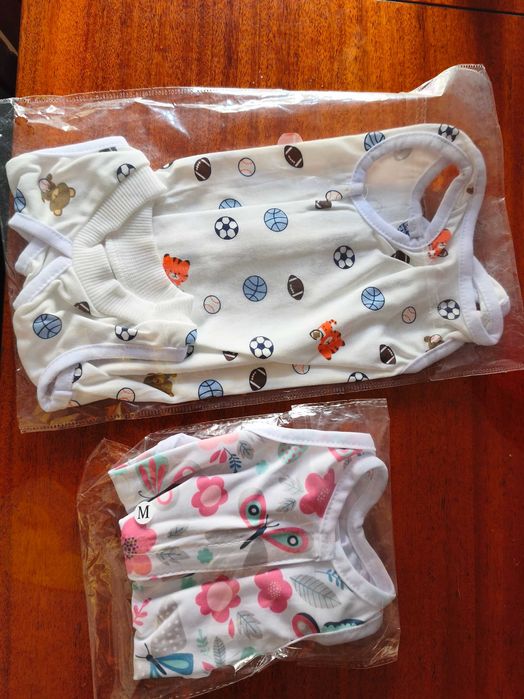 Body esterilização gato