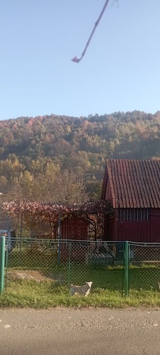 Ціну знижено! Продамо будинок та 25 соток Голубине на пагорбі