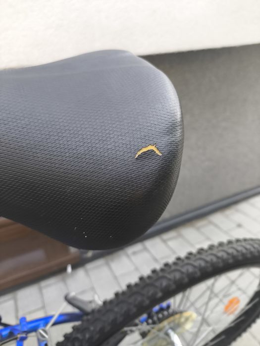 Rower author buffalo