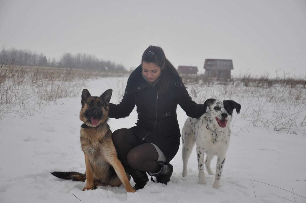 Pet Sitting Estádia Dog Hotel Barreiro— Hospedagem e Passeios