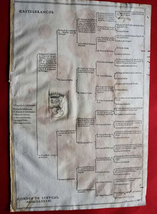 Os Castelo-Branco Condes de Sabugal árvore de costados 1586 (RESERVA)