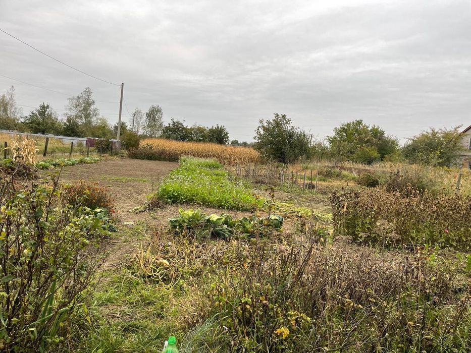 Дача з будиночком (на ветерані)