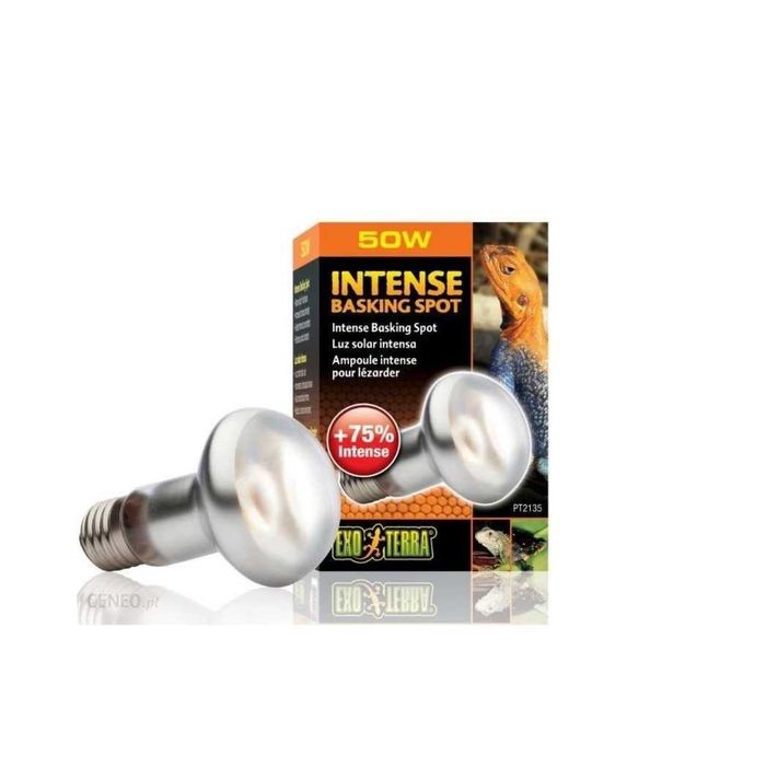 Żarówka grzewcza do terrarium Intense Basking Spot 50W