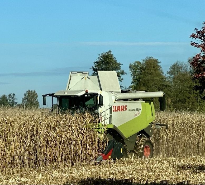 Koszenie zbiór kukurydzy  Claas lexion 580 tt 4x4