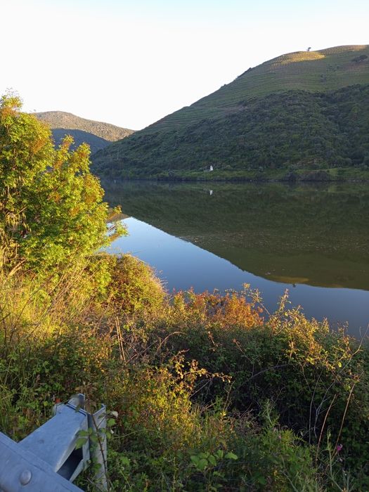 Vendo um terreno junto o Douro