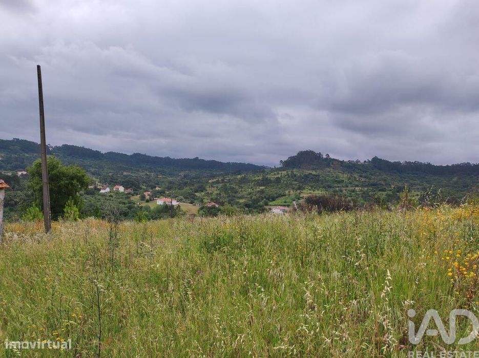 Terreno para construção em Colmeias e Memória de 116,00 m2