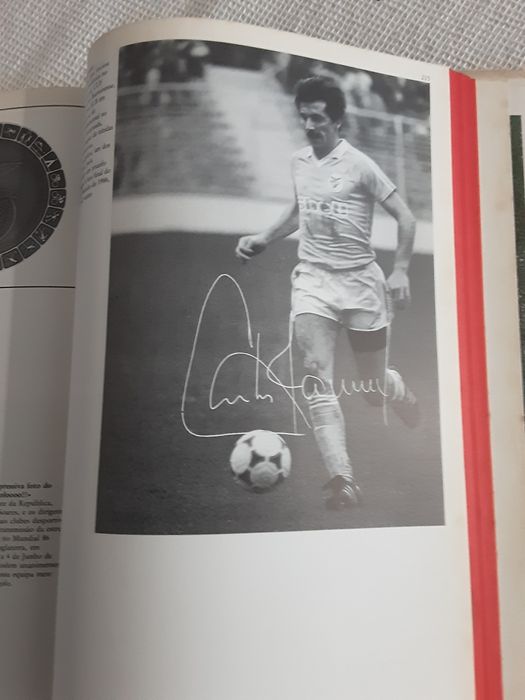 Sport Lisboa e Benfica Fotobiografia por Rui Guedes