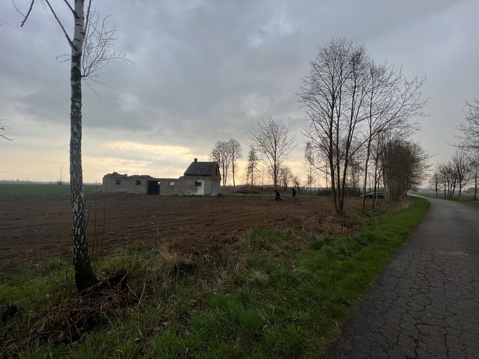 Działka budowlana 15km od Ciechanowa asfaltowy dojazd !!!