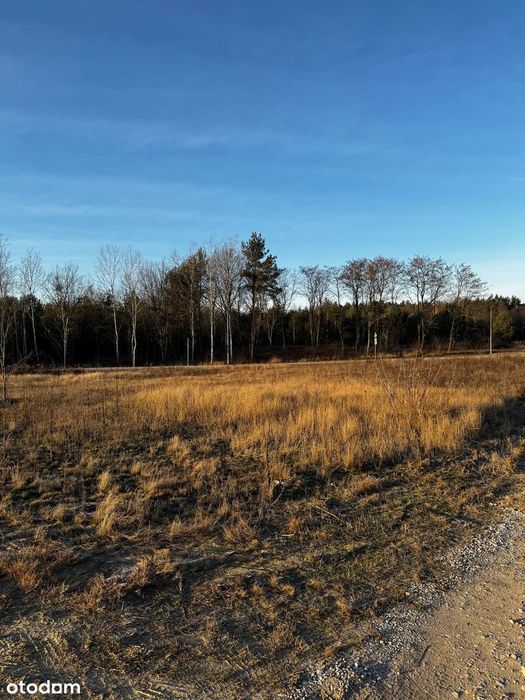 Działka budowlana Augustówek 1473m², wszystkie media, droga asfaltowa - Więcej