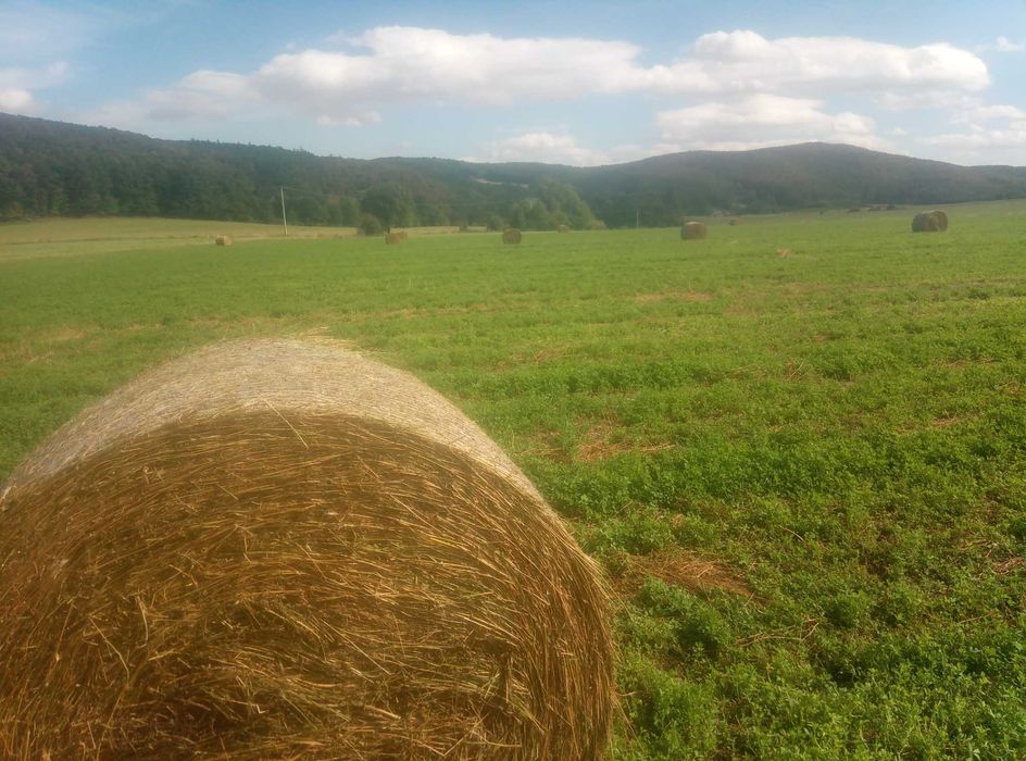 lucerna siano bale 120