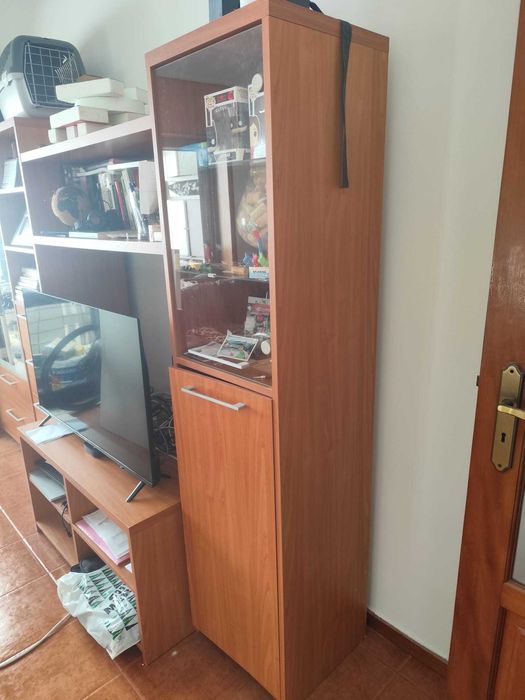 Móvel de Sala Completo – Excelente Estado