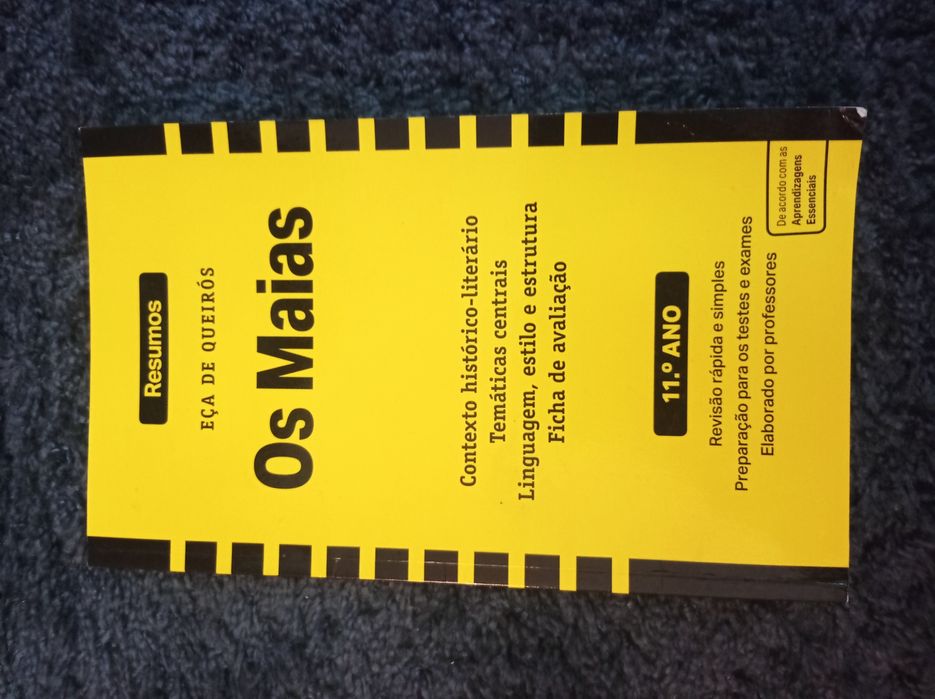 Livros resumos de português