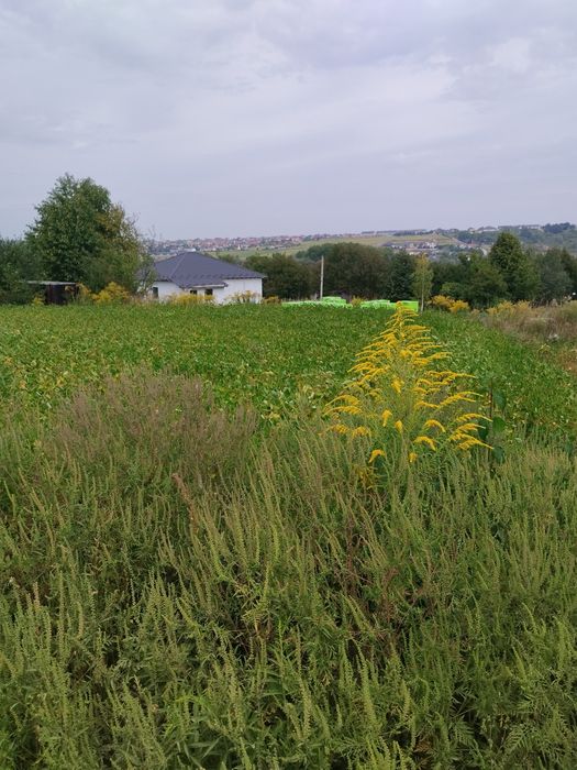 Земельну ділянку 11 2 сотки