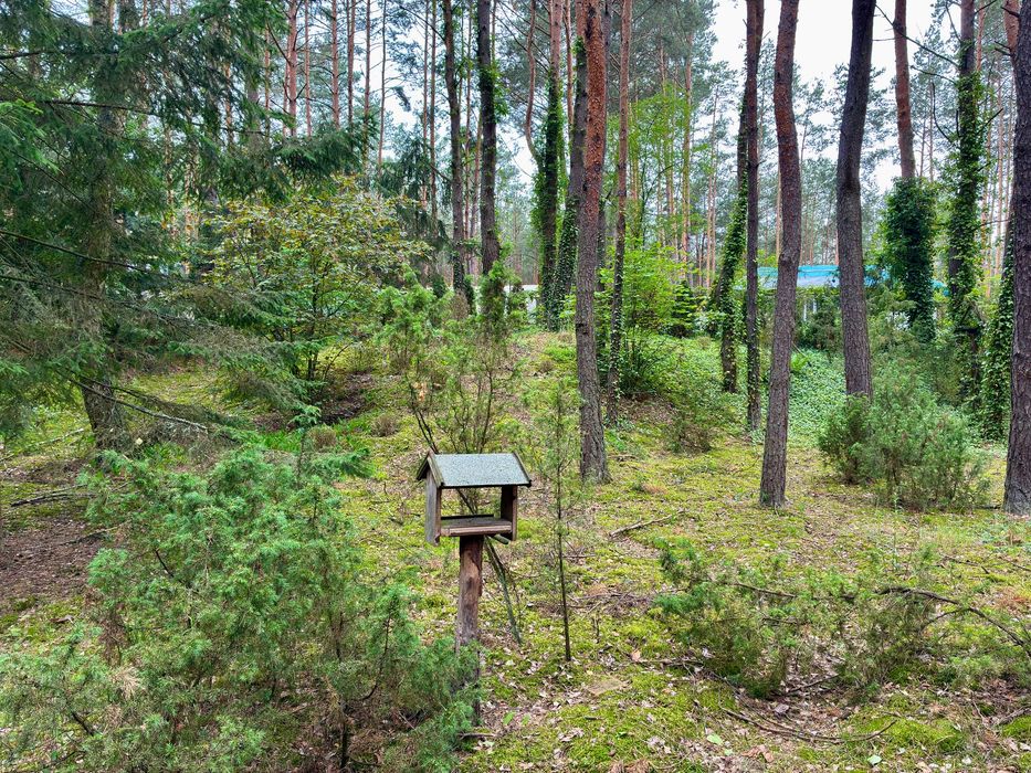Działka budowlana, Las, Cisza, Spokój, 30min od Warszawy - Widok 3