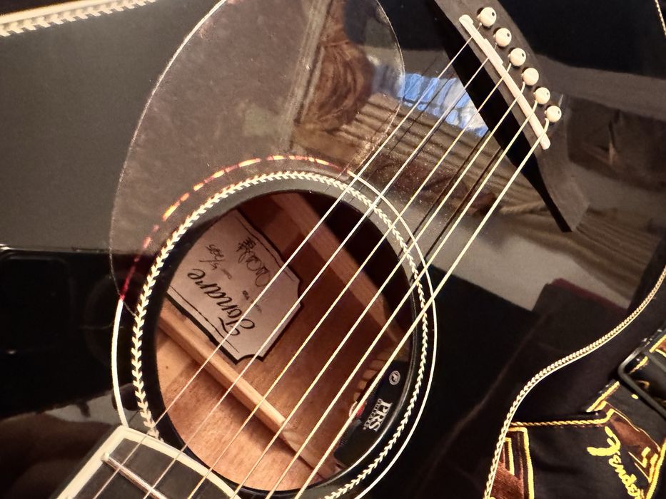 PRS Special Edition SE P20